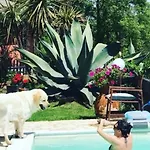 住宿加早餐酒店 Infinity Pool Near Rome