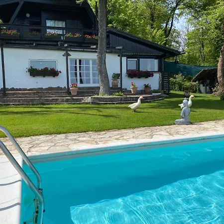 Villa Infinity Pool Near Rome *