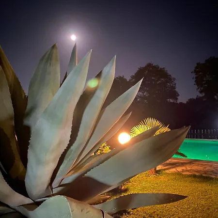Villa Infinity Pool Near Rome *