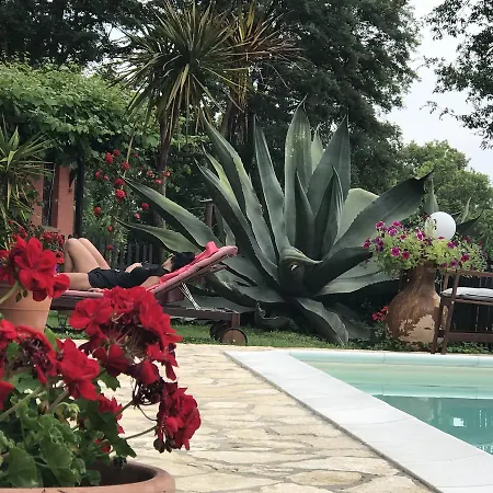 Villa Infinity Pool Near Rome *