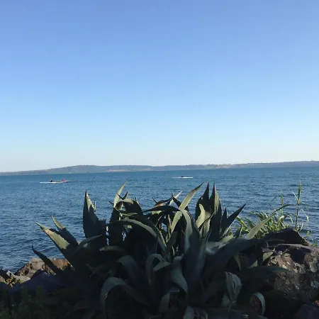 Infinity Pool Near Rome * Trevignano Romano